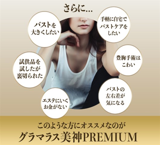 �O���}���X���_PREMIUM