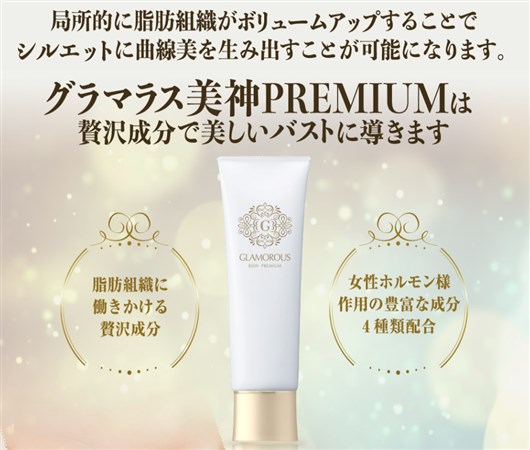 �O���}���X���_PREMIUM