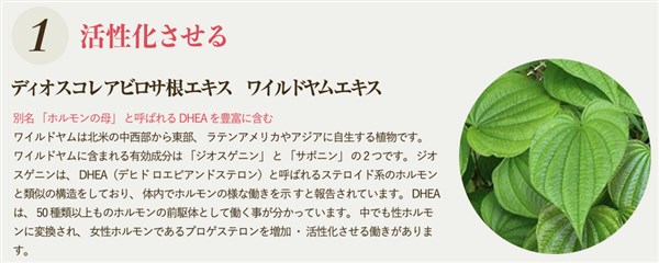 �O���}���X���_PREMIUM