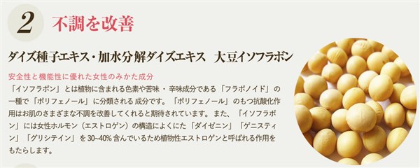 �O���}���X���_PREMIUM