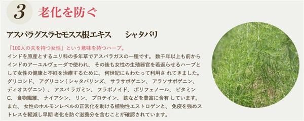 �O���}���X���_PREMIUM