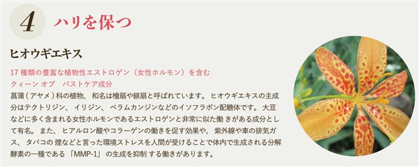 �O���}���X���_PREMIUM