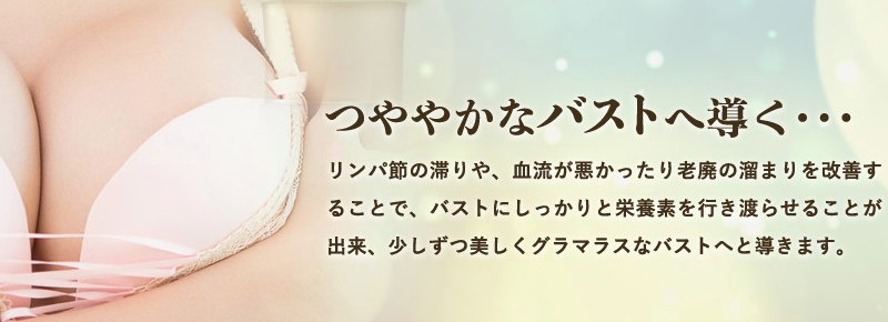 �O���}���X���_PREMIUM/�����̌|�\�l�����p�o�X�g�P�A�N���[���I���T�C�g